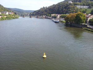 IMG_20150912_133201