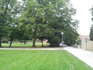 IMG_20150912_160538