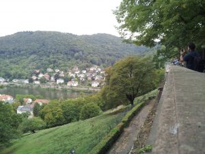 IMG_20150912_161537